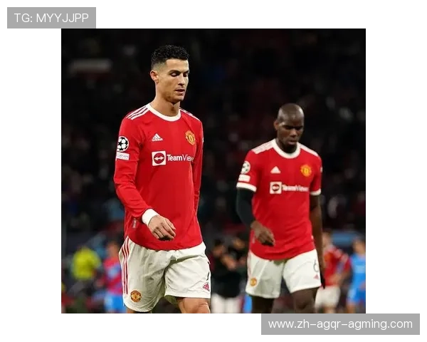 英超球员薪水排名及收入差距分析