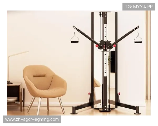 室内自用健身器材推荐，适合家庭健身需求