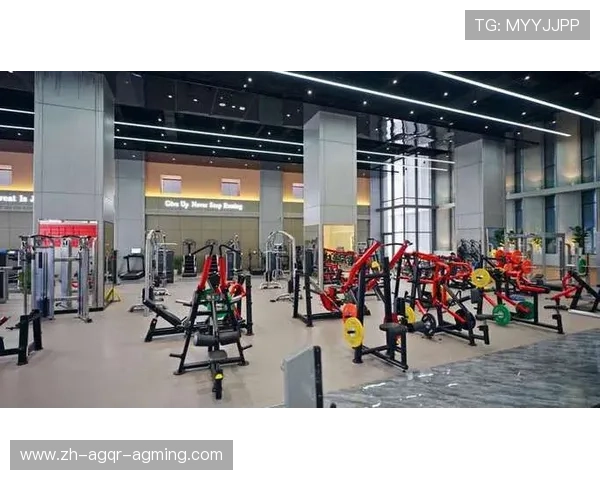 广州健身器材厂家的市场布局情况