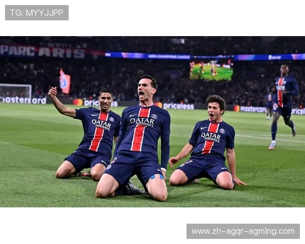 法甲各支球队所属国家背景一览