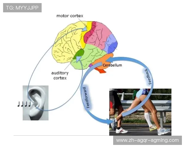 高强度对抗下足球比赛冲刺次数与运动表现关联性研究